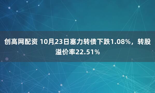 创高网配资 10月23日塞力转债下跌1.08%，转股溢价率22.51%
